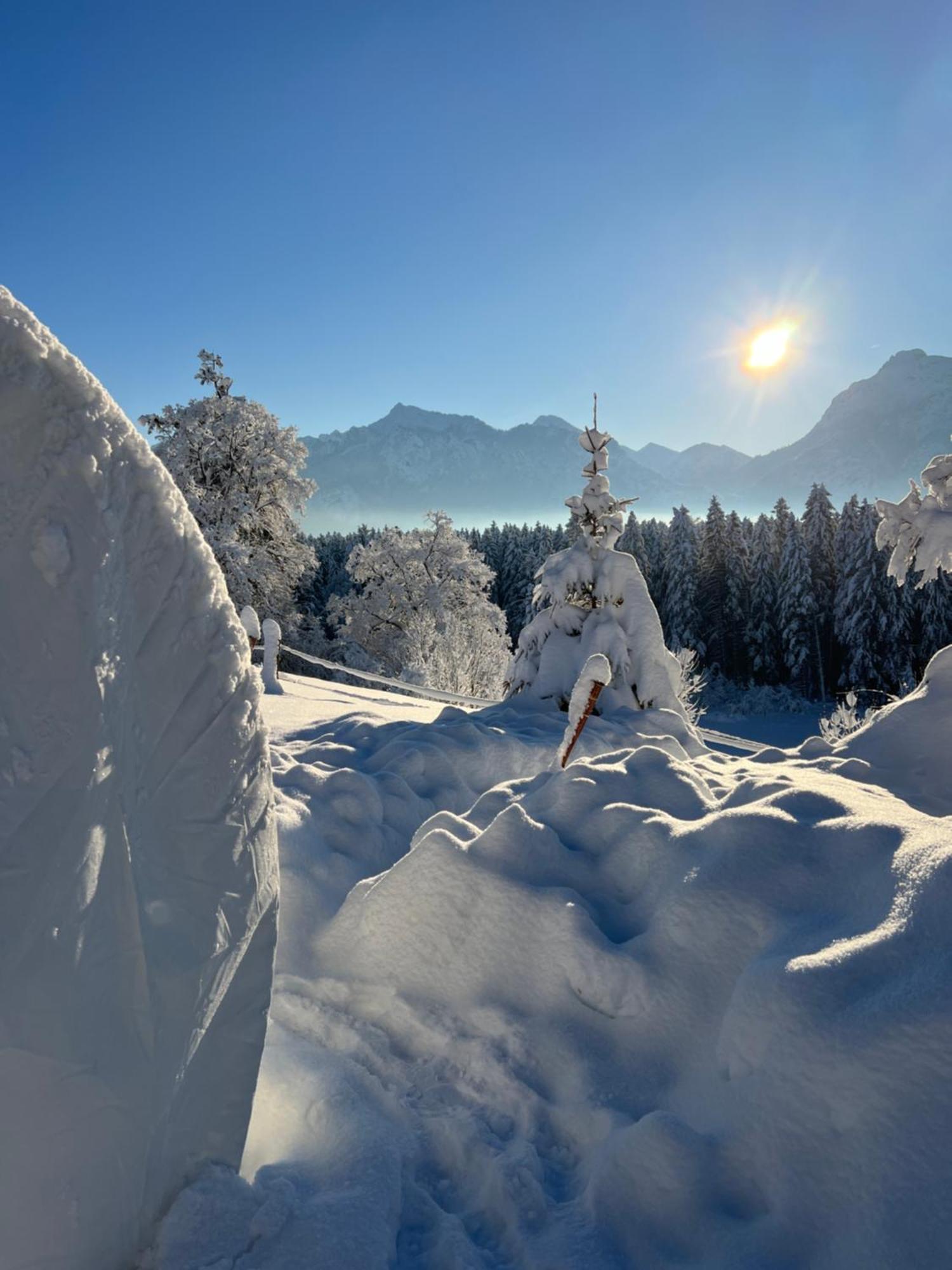 Bubble Tent Fuessen Im Allgaeu Fussen Exterior foto